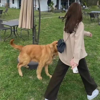 传奇冠军