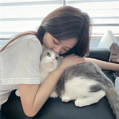 飞向蓝天